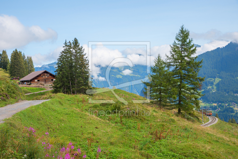 frei wählbarer Bildausschnitt für Ihr Bild auf Leinwand