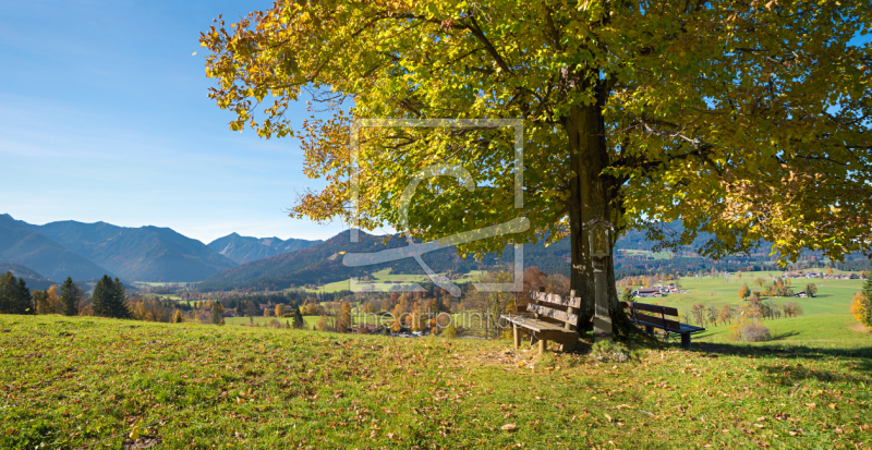 frei wählbarer Bildausschnitt für Ihr Bild auf Leinwand