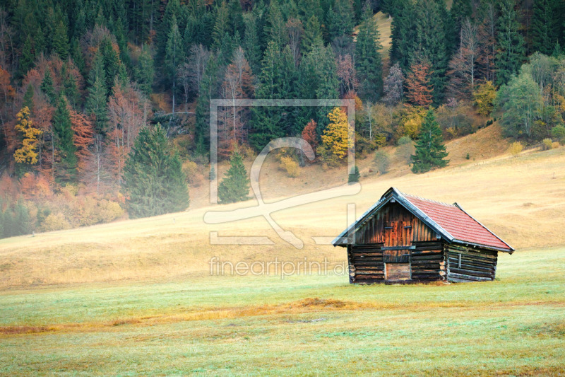 frei wählbarer Bildausschnitt für Ihr Bild auf Leinwand