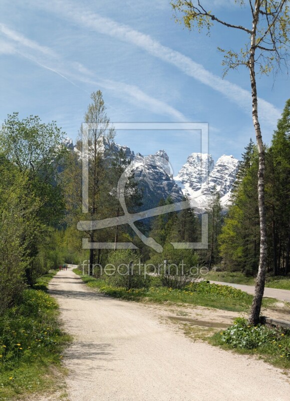 frei wählbarer Bildausschnitt für Ihr Bild auf Leinwand