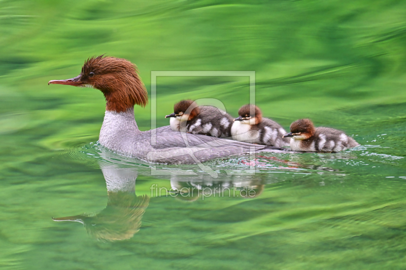 frei wählbarer Bildausschnitt für Ihr Bild auf Leinwand