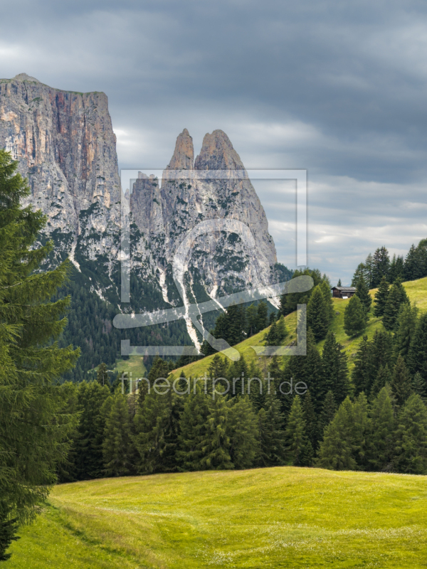 frei wählbarer Bildausschnitt für Ihr Bild auf Leinwand