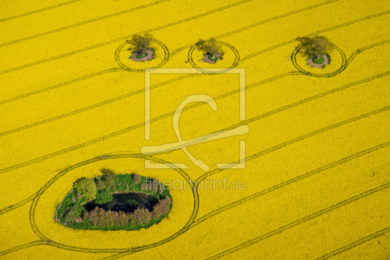 frei wählbarer Bildausschnitt für Ihr Bild auf Leinwand