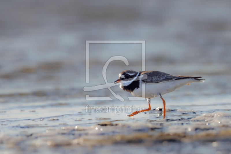 frei wählbarer Bildausschnitt für Ihr Bild auf Leinwand