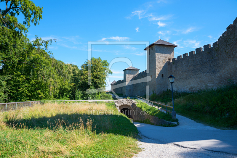 frei wählbarer Bildausschnitt für Ihr Bild auf Leinwand