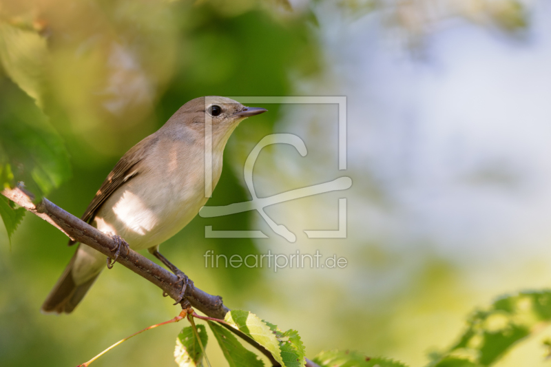 frei wählbarer Bildausschnitt für Ihr Bild auf Leinwand