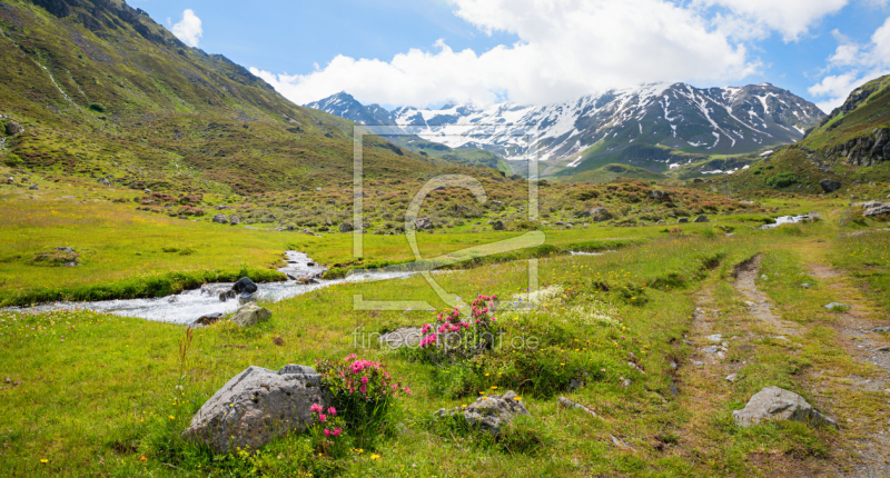 frei wählbarer Bildausschnitt für Ihr Bild auf Leinwand