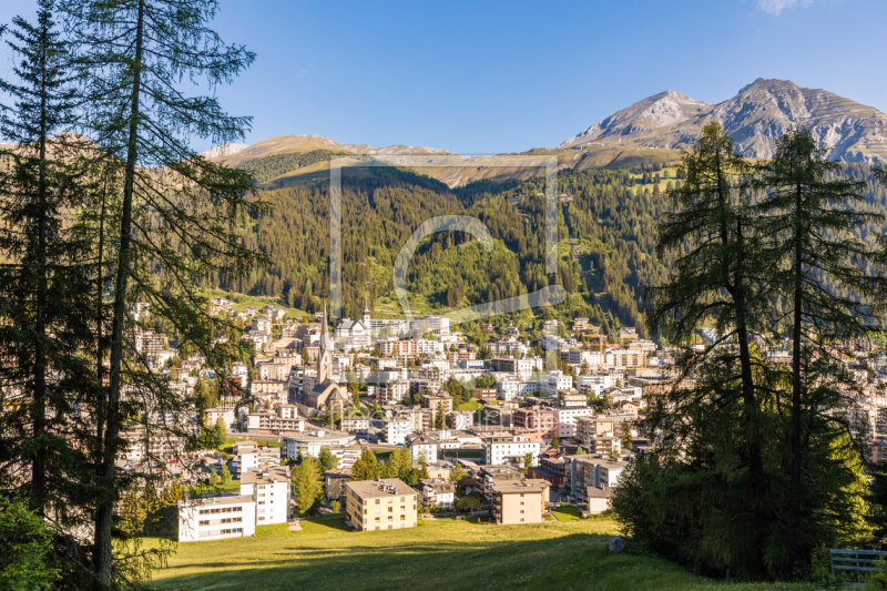 frei wählbarer Bildausschnitt für Ihr Bild auf Leinwand