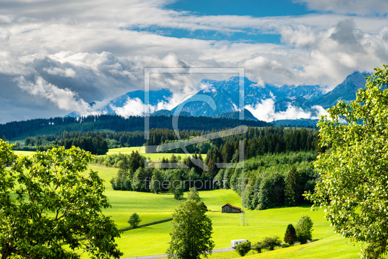 frei wählbarer Bildausschnitt für Ihr Bild auf Leinwand