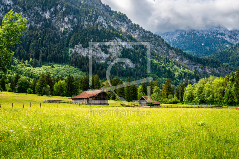 frei wählbarer Bildausschnitt für Ihr Bild auf Leinwand