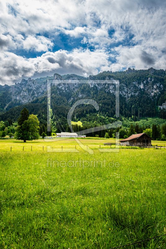 frei wählbarer Bildausschnitt für Ihr Bild auf Leinwand