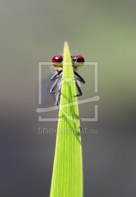 frei w&auml;hlbarer Bildausschnitt f&uuml;r Ihr Bild auf Mousepad