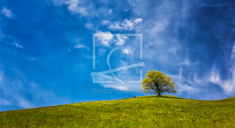 frei w&auml;hlbarer Bildausschnitt f&uuml;r Ihr Bild auf Mousepad