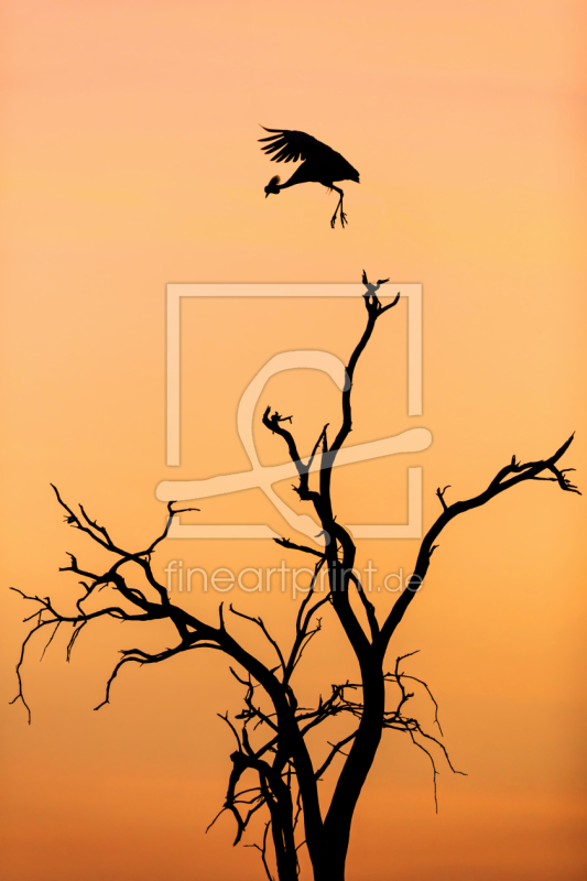 frei w&auml;hlbarer Bildausschnitt f&uuml;r Ihr Bild auf Mousepad