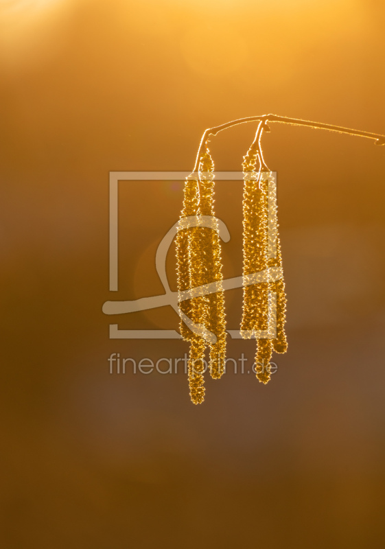 frei w&auml;hlbarer Bildausschnitt f&uuml;r Ihr Bild auf Mousepad