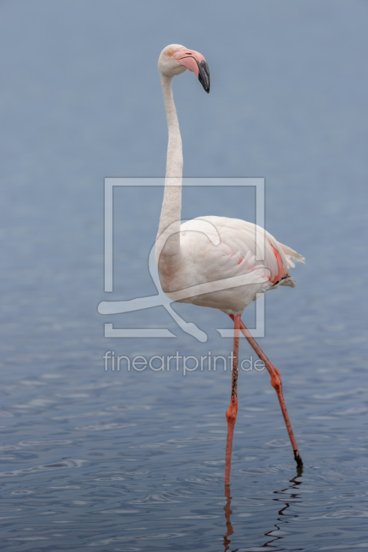 frei wählbarer Bildausschnitt für Ihr Bild auf Mousepad