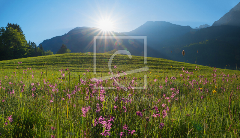 frei wählbarer Bildausschnitt für Ihr Bild auf Mousepad