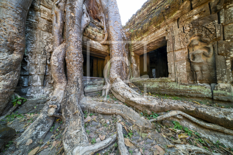frei wählbarer Bildausschnitt für Ihr Bild auf Mousepad
