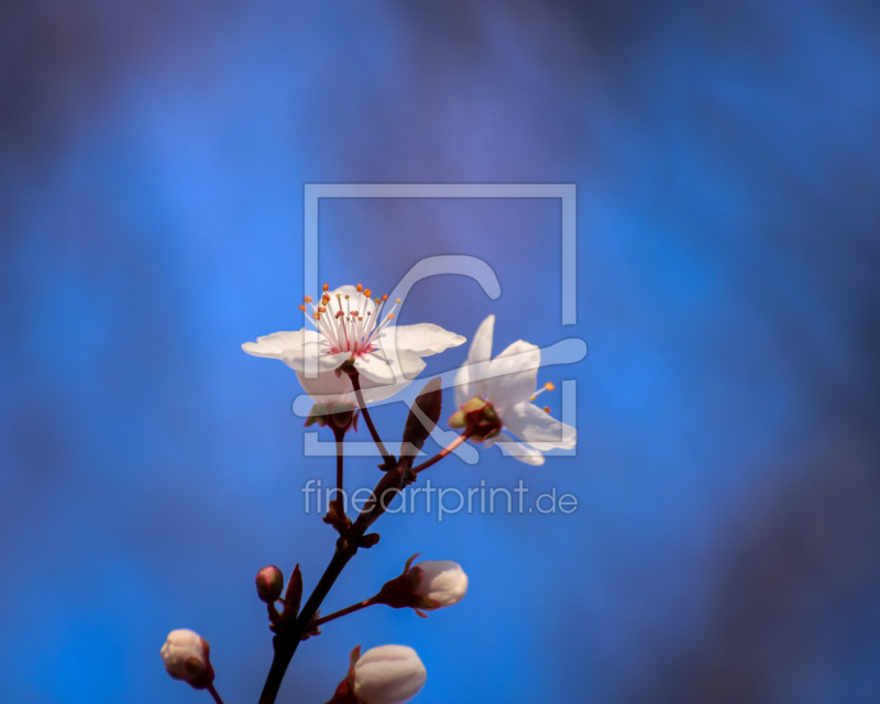 frei w&auml;hlbarer Bildausschnitt f&uuml;r Ihr Bild auf Mousepad