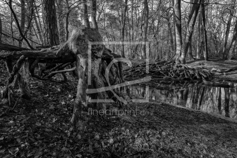 frei w&auml;hlbarer Bildausschnitt f&uuml;r Ihr Bild auf Mousepad