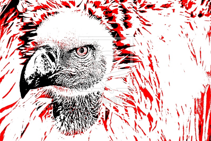 frei wählbarer Bildausschnitt für Ihr Bild auf Papier