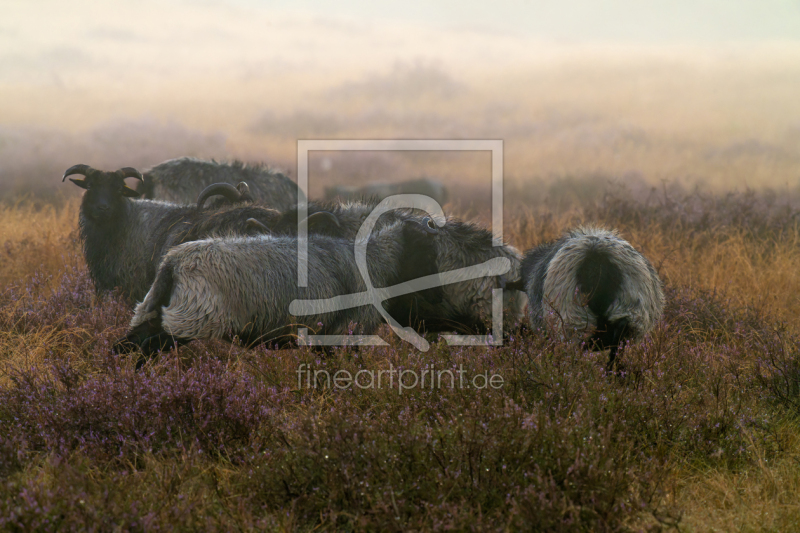 frei wählbarer Bildausschnitt für Ihr Bild auf Papier