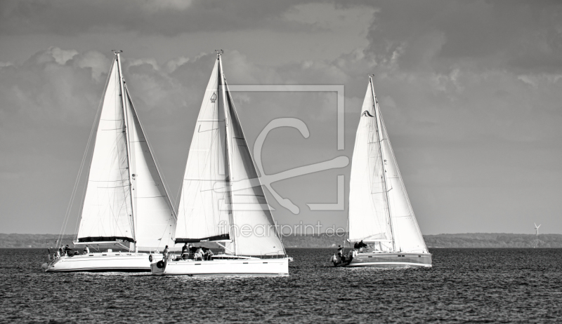 frei wählbarer Bildausschnitt für Ihr Bild auf Papier