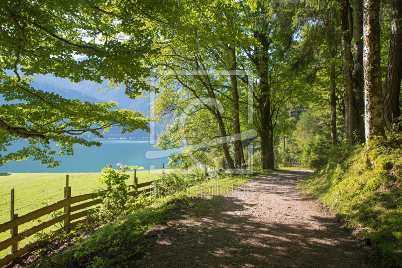 frei wählbarer Bildausschnitt für Ihr Bild auf Papier