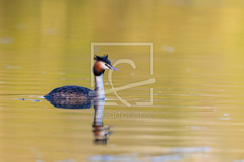 frei wählbarer Bildausschnitt für Ihr Bild auf Papier