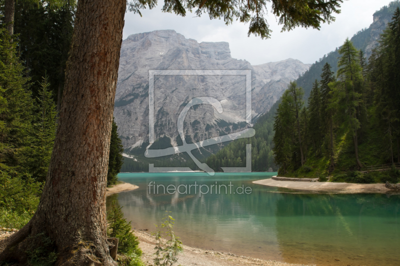 frei wählbarer Bildausschnitt für Ihr Bild auf Papier