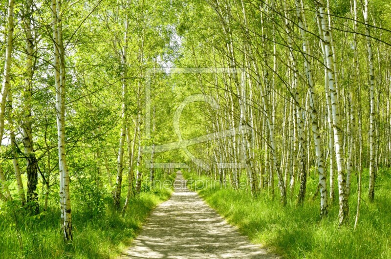 frei wählbarer Bildausschnitt für Ihr Bild auf Poster
