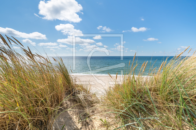 frei w&auml;hlbarer Bildausschnitt f&uuml;r Ihr Bild auf Poster