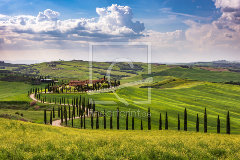 frei w&auml;hlbarer Bildausschnitt f&uuml;r Ihr Bild auf Poster