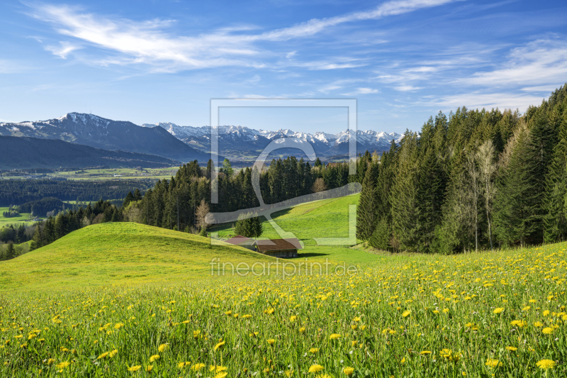 frei wählbarer Bildausschnitt für Ihr Bild auf Poster