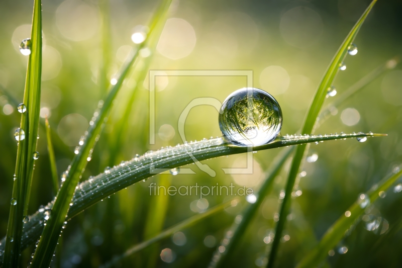 frei w&auml;hlbarer Bildausschnitt f&uuml;r Ihr Bild auf Poster