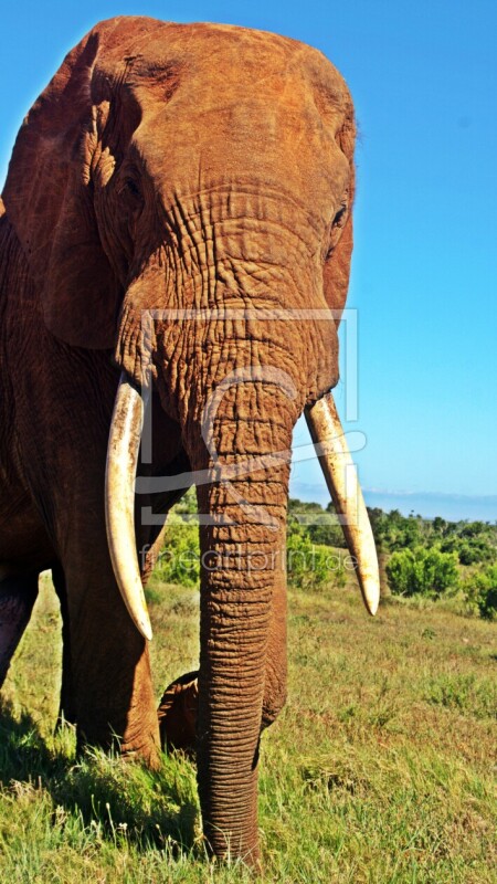 frei w&auml;hlbarer Bildausschnitt f&uuml;r Ihr Bild auf Poster