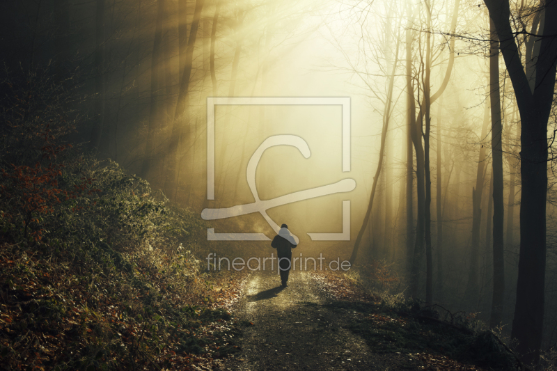 frei w&auml;hlbarer Bildausschnitt f&uuml;r Ihr Bild auf Poster