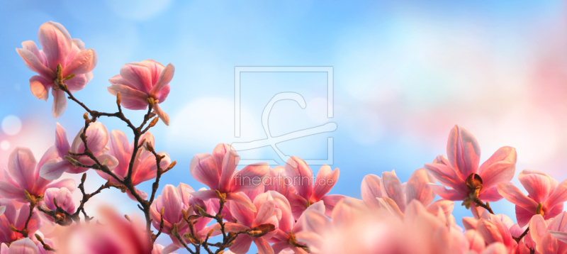 frei w&auml;hlbarer Bildausschnitt f&uuml;r Ihr Bild auf Poster