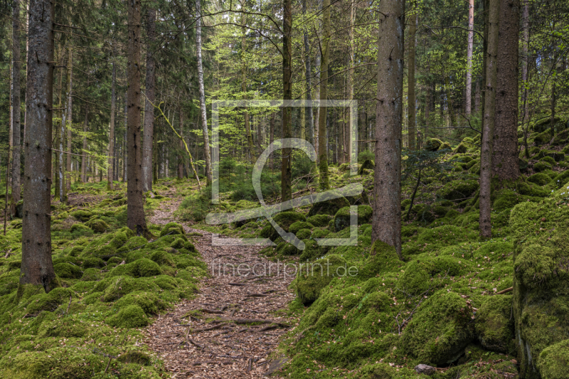 frei w&auml;hlbarer Bildausschnitt f&uuml;r Ihr Bild auf Poster