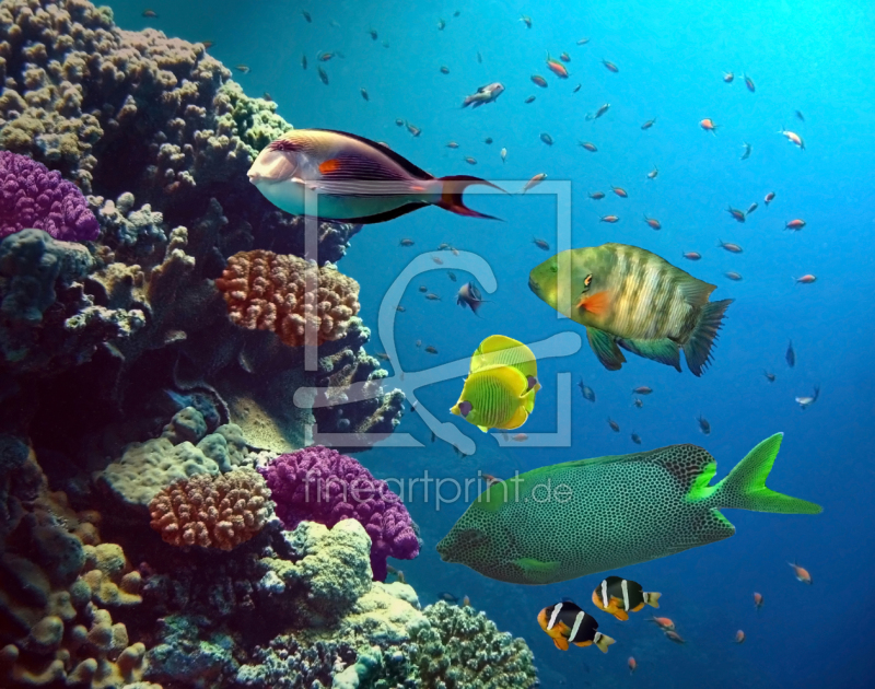 frei w&auml;hlbarer Bildausschnitt f&uuml;r Ihr Bild auf Poster