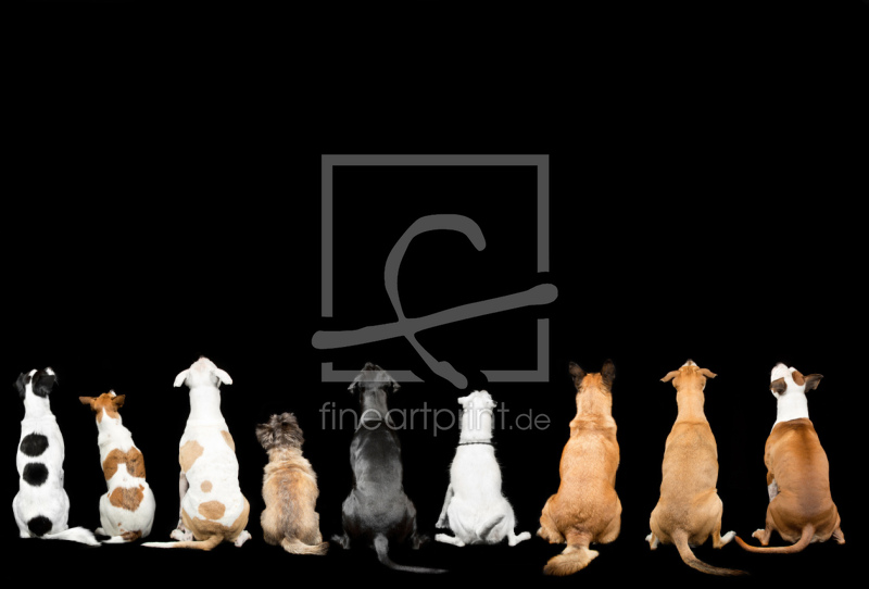 frei w&auml;hlbarer Bildausschnitt f&uuml;r Ihr Bild auf Schieferplatte