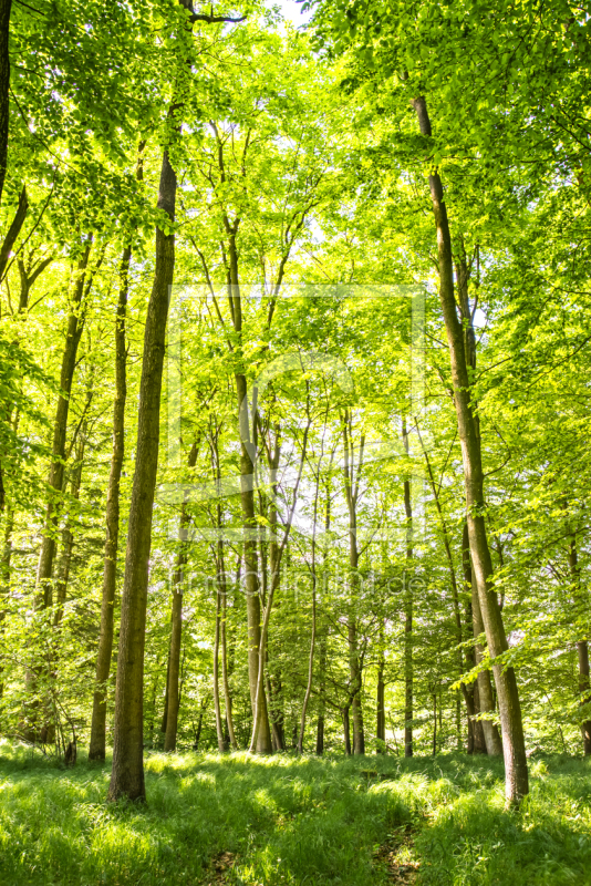 frei wählbarer Bildausschnitt für Ihr Bild auf Schieferplatte