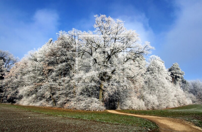 frei w&auml;hlbarer Bildausschnitt f&uuml;r Ihr Bild auf Schieferplatte