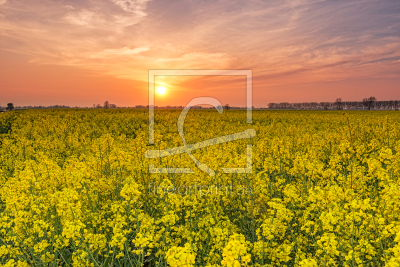 frei wählbarer Bildausschnitt für Ihr Bild auf Schieferplatte