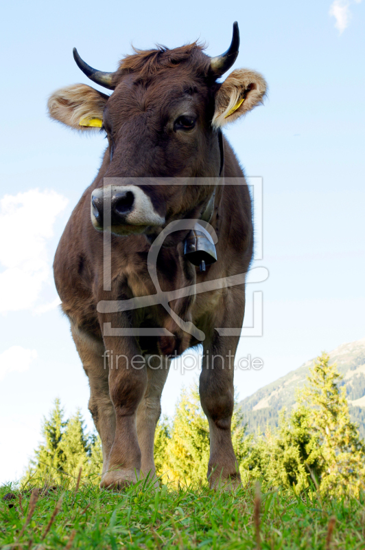 frei wählbarer Bildausschnitt für Ihr Bild auf Schieferplatte