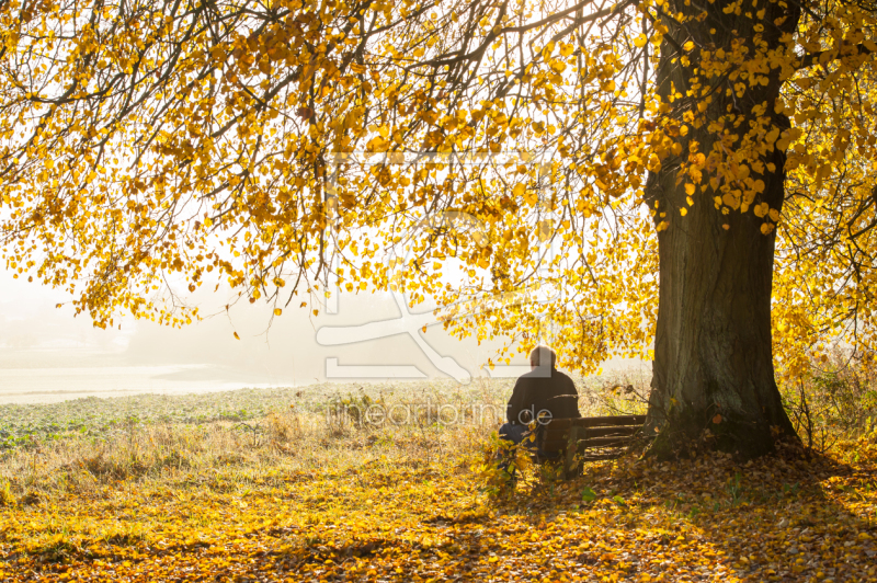 frei w&auml;hlbarer Bildausschnitt f&uuml;r Ihr Bild auf Schieferplatte