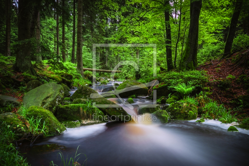 frei wählbarer Bildausschnitt für Ihr Bild auf Schieferplatte