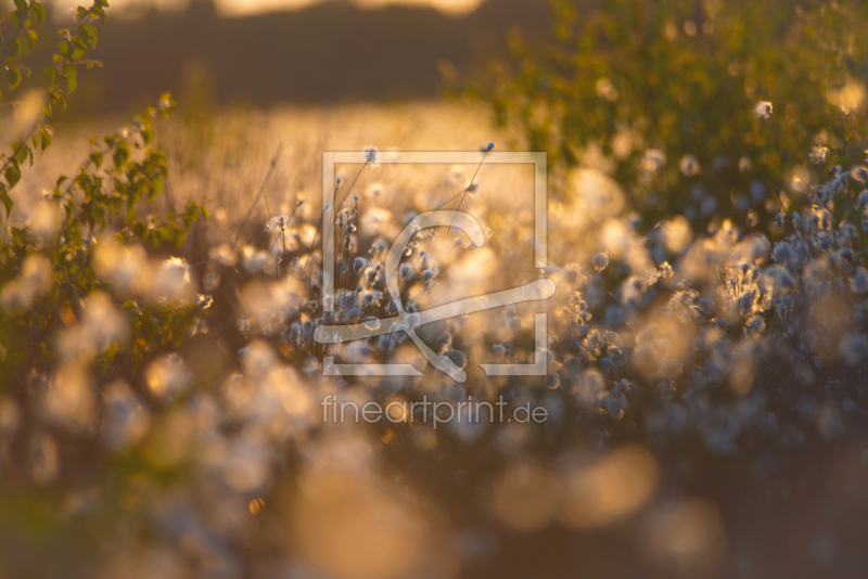 frei w&auml;hlbarer Bildausschnitt f&uuml;r Ihr Bild auf Schieferplatte