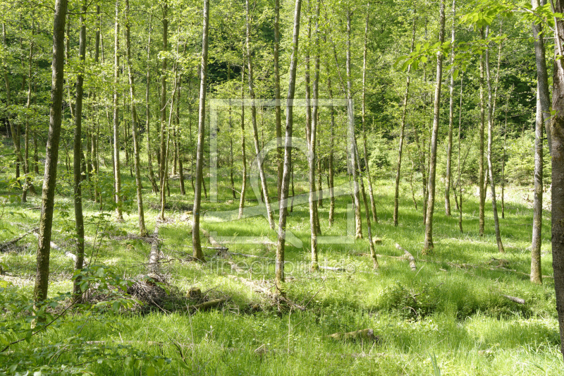 frei wählbarer Bildausschnitt für Ihr Bild auf Schieferplatte