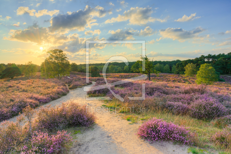 frei w&auml;hlbarer Bildausschnitt f&uuml;r Ihr Bild auf Schieferplatte